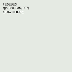 #E5EBE3 - Gray Nurse Color Image